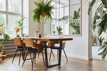 Stylish and cozy interior of dining room with design craft wooden table, chairs, plants, velvet sofa, poster map and elegant accessories in modern home decor. Template.