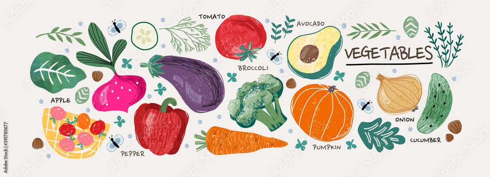 Vegetables.Vector food illustrations: tomato, beet, bay leaf, pepper, eggplant, cucumber, broccoli, carrot, pumpkin, avocado, onion and rosemary - obrazy, fototapety, plakaty 