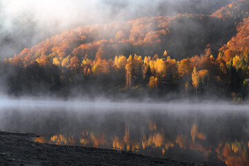 Wall Mural - the mountain autumn landscape with colorful forest