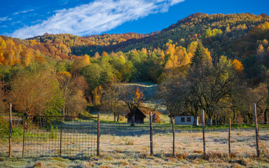 Wall Mural - the mountain autumn landscape with colorful forest
