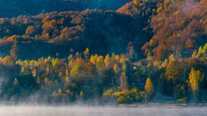 Wall Mural - the mountain autumn landscape with colorful forest
