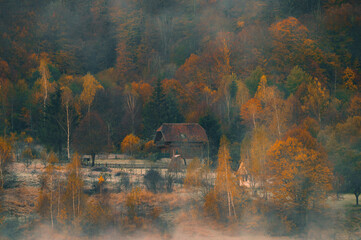 Wall Mural - the mountain autumn landscape with colorful forest