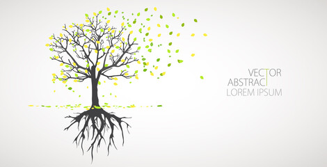 Abstract tree with roots. Vector outline illustration. Plant in Garden.