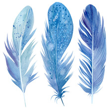 Set Of Blue Feathers On White Isolated Background, Watercolor Illustration