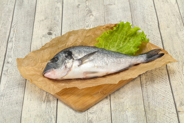 Raw Dorada fish  for cooking