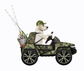 Wall Mural - A dog fisher drives a car with a bucket full of fish. White background. Isolated.