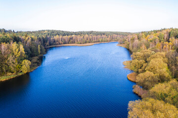 Wall Mural - Autumn lake landscape with pine trees, aerial bird-eye view