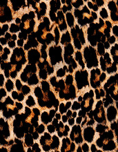 Spotted Animalier Texture