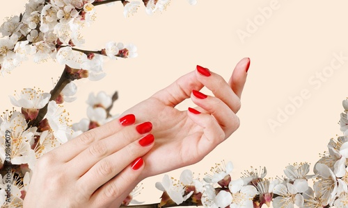 Leinwand Poster Flower.