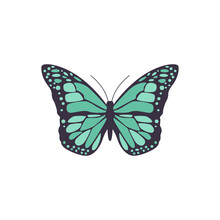 Vector Illustration Of Black Butterfly With Symmetrical Blue Pattern On Wings