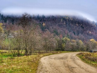 Poster - road in the woods