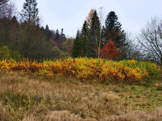 Poster - autumn in the mountains