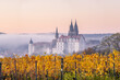 Medieval Albrechtsburg castle and gothic cathedral in Meissen town on Elbe river, Saxony, Germany. Old castle during sunrise on a foggy day