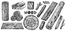 Wood Set. Planks And Logs, Lumber And Cuts, Firewood In Vintage Style. Pieces Of Tree. Vector Illusion For Signboard, Labels, Logo Or Banner. Campfire Material. Engraved Hand Drawn Sketch.