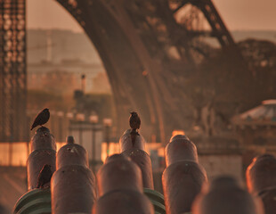 Fototapete - Beautiful Views of Paris: From the Eiffel Tower to the Seine River and Champs-Elysees