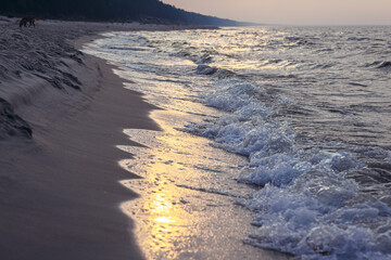 Poster - Beach in Katy Rybackie, small resort village located on the Vistula Spit on the Baltic Sea coast in Pomerania region of Poland