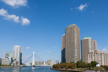 Wall Mural - Tokyo cityscape of beautiful waterfront in sunny day