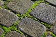 Paving stones with ingrown weeds and moss. An annual problem in front of the house.
