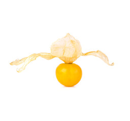 Wall Mural - Cape gooseberry (physalis) isolated on white background