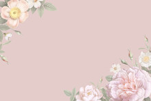 Pink Floral Frames Background