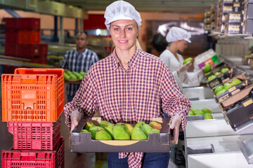 Wall Mural - Portrait of positive woman employee working at fruit storage carrying box with pears