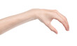 © Илья Подопригоров - Female caucasian hands isolated white background showing different gestures. woman hands showing gesture holds something or takes, gives, points