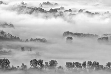 Poster - Aerial view over the misty forest at dawn, Alps landscape, black and white photography