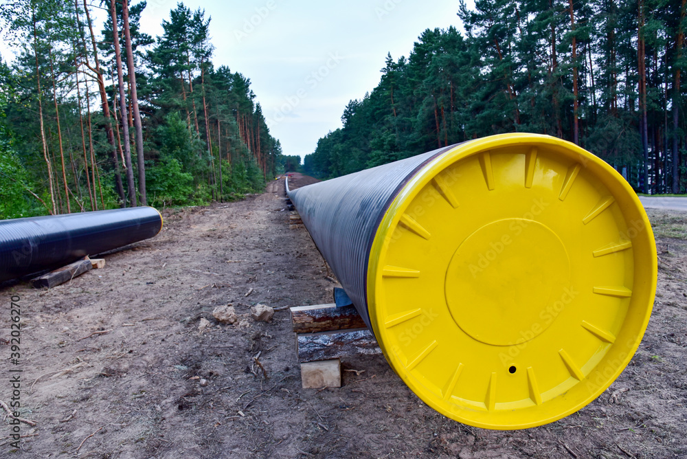 Crude oil and Natural gas pipeline construction work in forest area ...