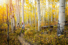 Woman Mountain Biking Amidst Autumn Trees In Forest