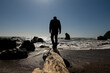 © Cavan Images - Person walking on large driftwood log toward waves at edge of beach