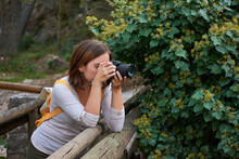 Woman Takes Pictures With Her Camera Supported By A Wooden Bridge