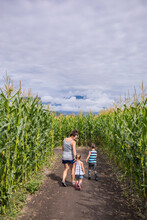 Mother Walks Through Corn Maze With Her Son And Daughter
