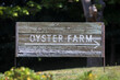 © Cavan Images - Wooden Oyster Farm Sign on grassy hill