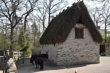 Natura in città