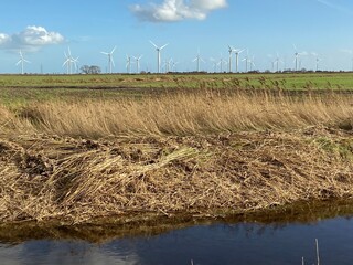 Wall Mural - Wind turbines that produce electricity energy. Windmill Wind power technology productions Wind turbines standing on a blooming fields in green field. 