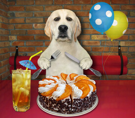 Wall Mural - A dog with a fknife and a fork in his paws is eating a orange cake and drinking tea with ice at a table in a restaurant.