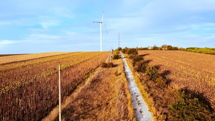 Wall Mural - Aerial drone view of wind turbines for energy production located on a field. Windmill's power generating clean renewable energy for sustainable development. Balti, Moldova