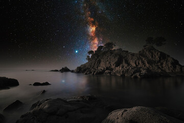 Wall Mural - starry sky over the sea
