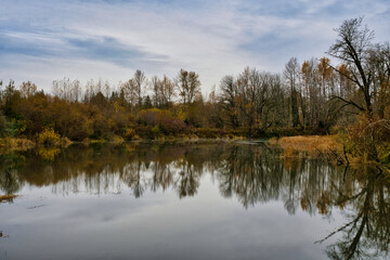 Wall Mural - 2020-11-12 A PACIFIC NORTHWEST LAKE WITH FALL FOLIAGE ON THE SHORELINE 