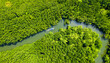 Aerial view of boats sailing in rivers along tropical mangrove forests