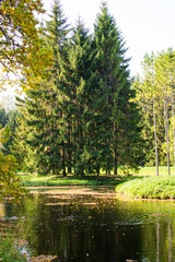 Wall Mural - reflection of autumn forest in blue lake in the park 