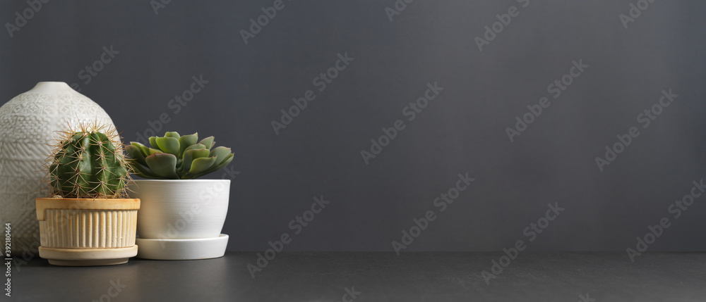 Copy space and decorations with cactus pot, plant pot and vase on the table in living room - obrazy, fototapety, plakaty 