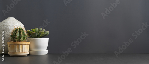 Copy space and decorations with cactus pot, plant pot and vase on the table in living room