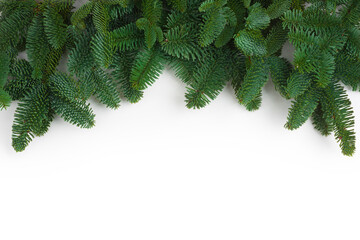 green natural fir tree branches garland isolated on white background
