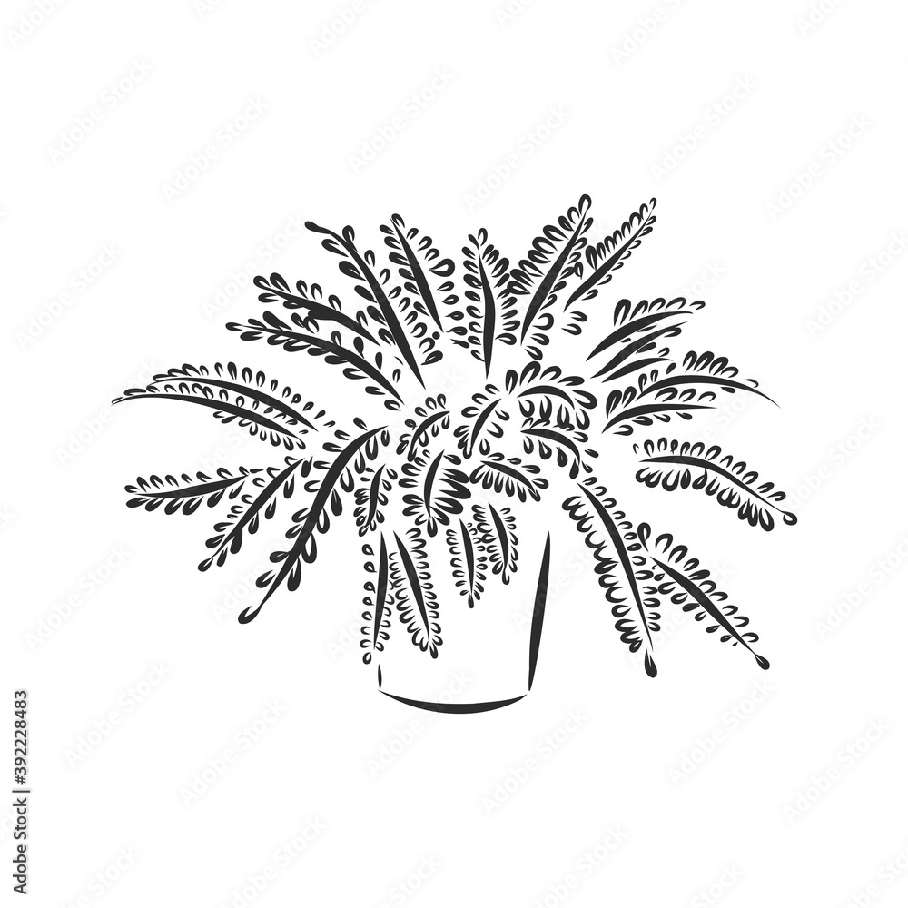 Line art plant in pot. Contour drawing of vector set of black and white ...