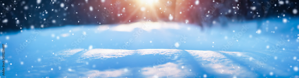 Winter snowy background with sparkling snow at sunny day in snowfall - obrazy, fototapety, plakaty 