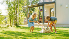 Two Kids Have Fun With Their Handsome Golden Retriever Dog On The Backyard Lawn. They Pet, Play, Scratch It. Happy Pedigree Dog Holds Toy Ball In Jaws. Idyllic Suburb House In The Summer