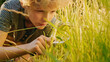 © Gorodenkoff - Handsome Young Naturalist Scientist Explores Plant Life and Insect Life with Magnifying Glass. Smart Curious Boy Botanist and Entomologist Explores Nature. Close-up Portrait of Child with Curly Hair