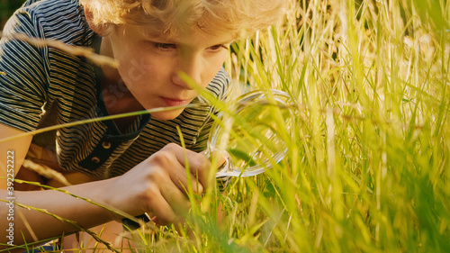 Fotomural Handsome Young Naturalist Scientist Explores Plant Life and Insect Life with Magnifying Glass