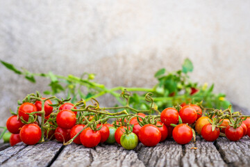 Wall Mural - Fresh red small tomato on wood table